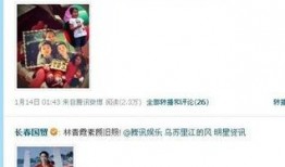 娱乐大爆料画布图片,揭秘画布背后的秘密与精彩瞬间