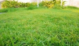 草草网在线观看,畅游影视世界的便捷之门