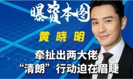 内娱爆料素材视频,明星幕后故事大曝光